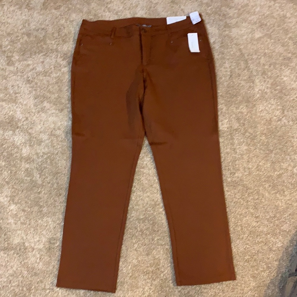 Terra Cotta Slacks